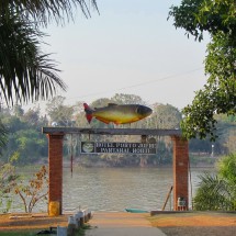 Big fish with Rio Cuiaba